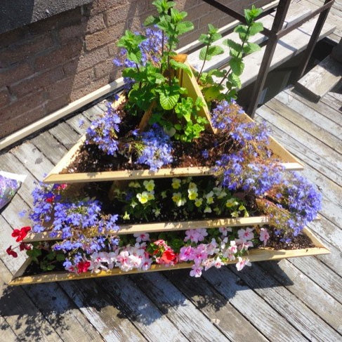 3 Level Triolife Cedar Plant Pyramid
