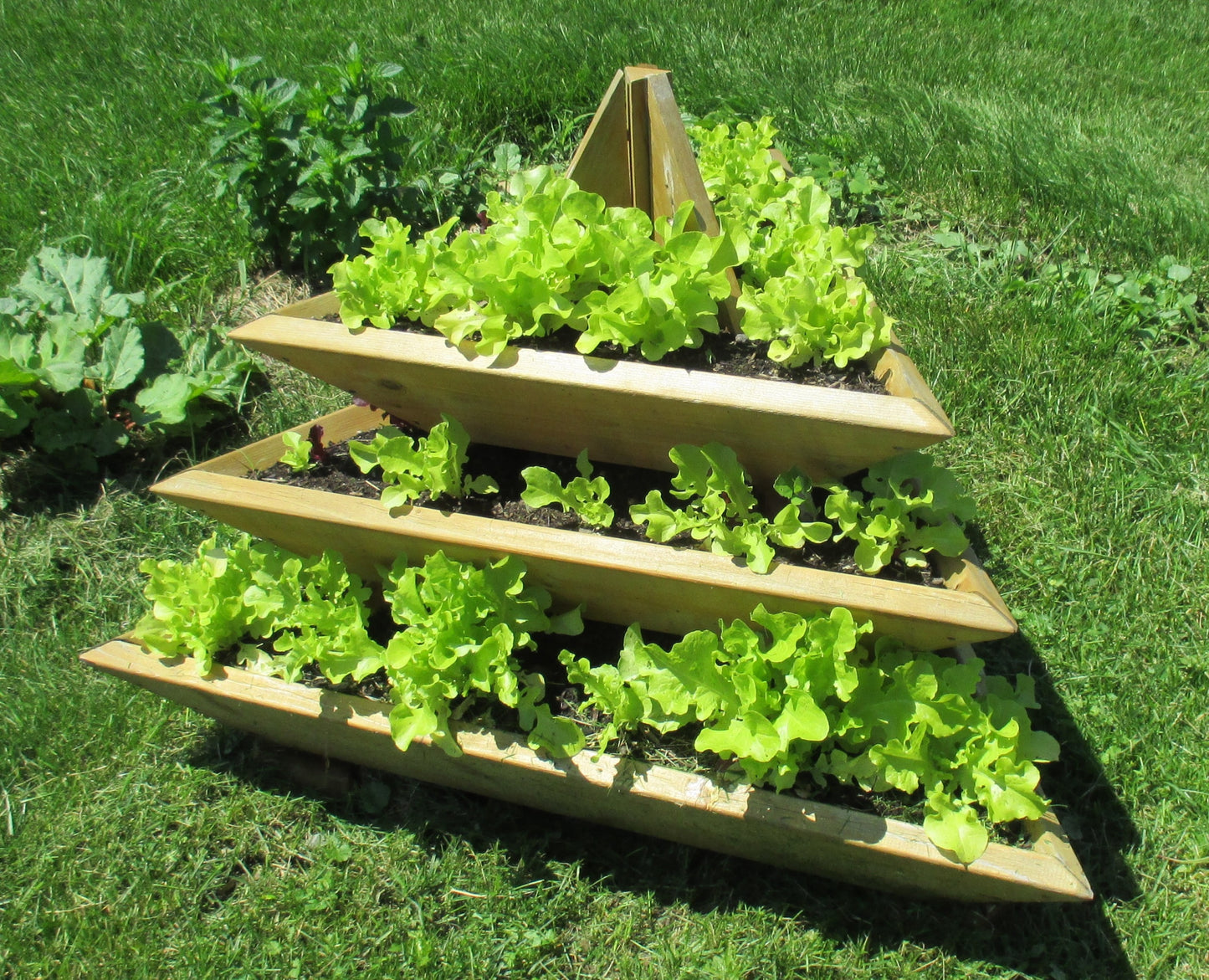 3 Level Triolife Cedar Plant Pyramid