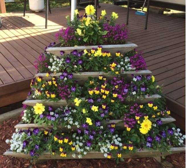 5 Level Triolife Cedar Plant Pyramid